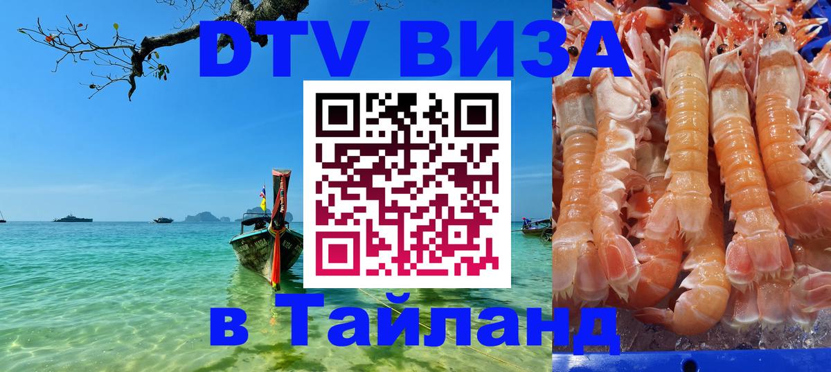 Оформление DTV визы под ключ: стоимость и тарифы, только загранпаспорт - 